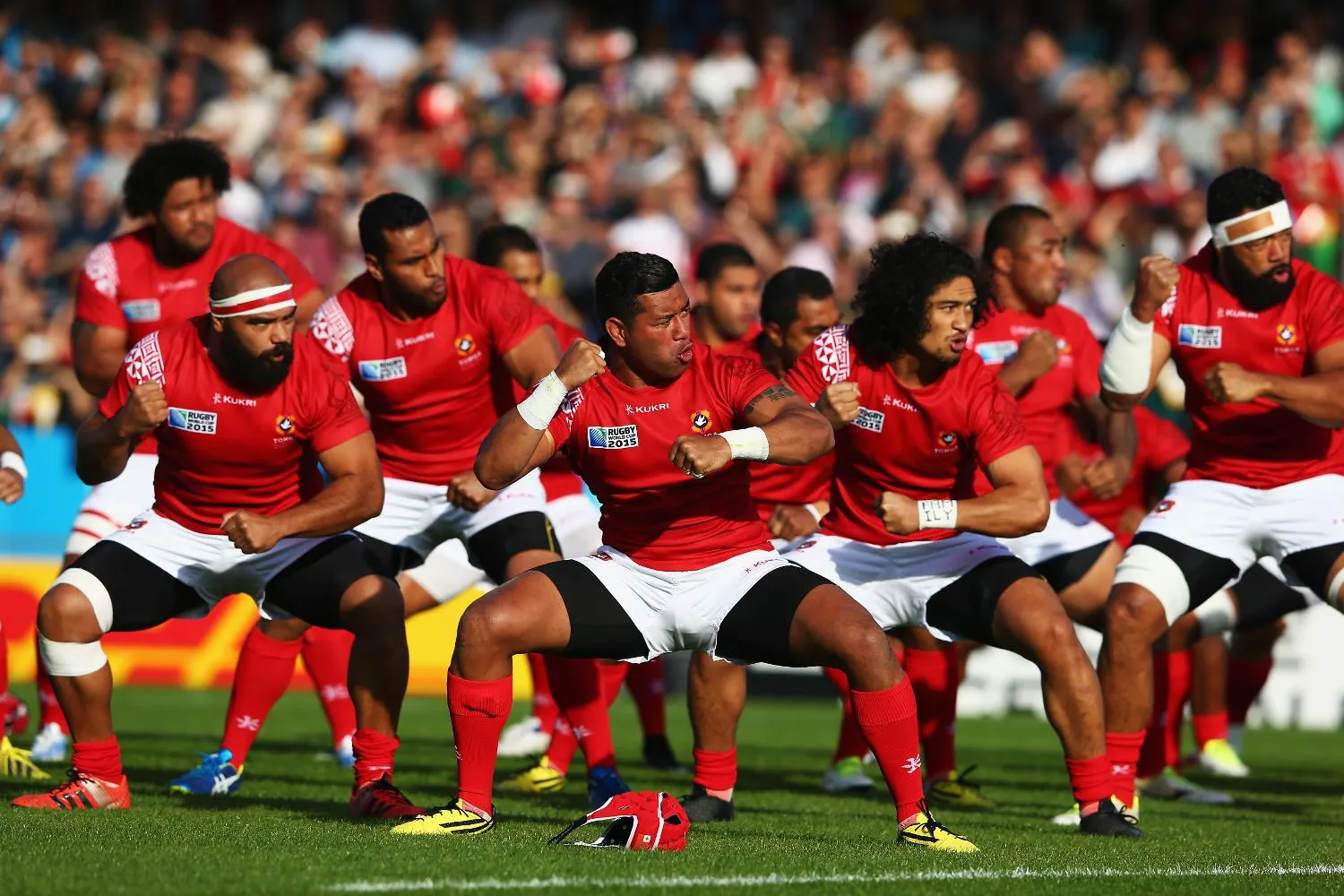 RÃ©sultat de recherche d'images pour "tonga coupe du monde rugby"