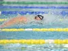 Natation : programme Championnats du monde petit bassin 2024 