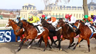 Le programme complet des courses hippiques du 02 au 05 juin 2023 avec ZEturf