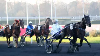 Quinté+ PMU : le pronostic de la rédaction sur la course du jour