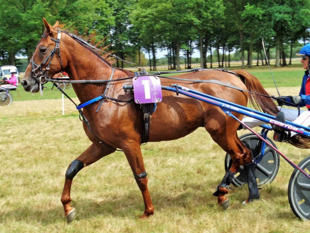  le '' Victoria Dreams'', Have A Dream : Francheville