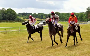 Sillé-le-Guillaume: no stress !