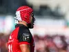 Top 14 : Toulon, l’heure d’un bilan amer