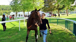 La jeune fille qui murmurait à l’oreille des chevaux