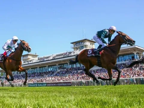 Prix du Jockey Club : Programme, partants et infos