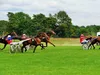 Hippodrome de Rambouillet : d’amateurs à professionnels