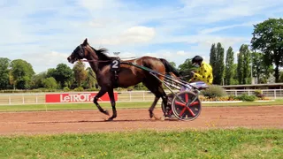 À la découverte de nouveaux talents du sport hippique (numéro 2)