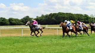 Senonnes-Pouancé : Son Eglise, son centre d’entrainement et son hippodrome