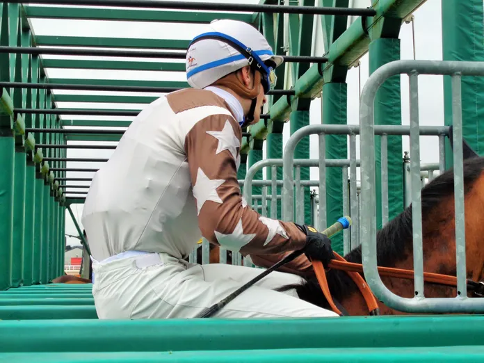 Hippodrome de Mons. France-Belgique