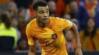 Coupe du Monde 2022 : Cody Gakpo, la nouvelle star néerlandaise