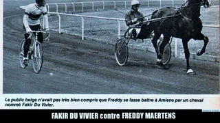 Mes chevaux de légende (série 2 : les Trotteurs)