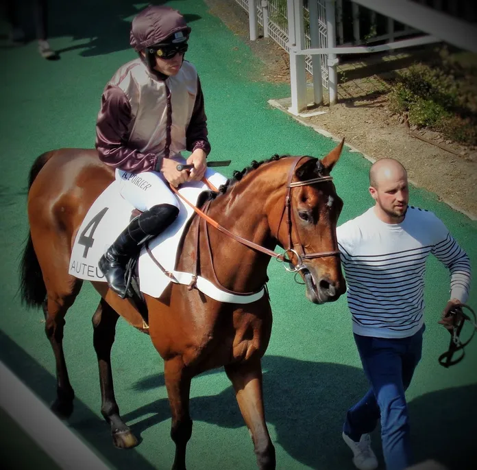 élevage du Puy Noir