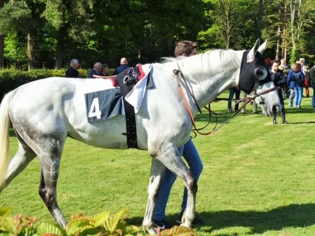 Hippodrome du Pin au Haras: les courses hippiques à l’état pur