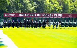 Prix du Jockey Club : les favoris et les meilleurs cotes