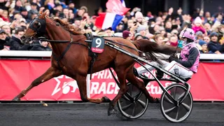 Palmarès Prix d’Amérique : tous les vainqueurs