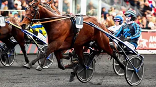 Prix d’Amérique Legend Race 2025 : la liste officielle des 18 partants