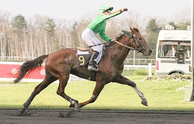 Une semaine qu'hippique