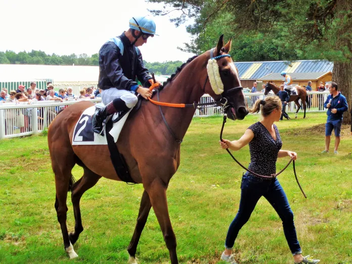 Sillé-le-Guillaume: no stress !