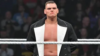 Walter : ” Finn Balor, Daniel Bryan et Cesaro seraient aujourd’hui les 3 combattants que j’aimerais affronter…”