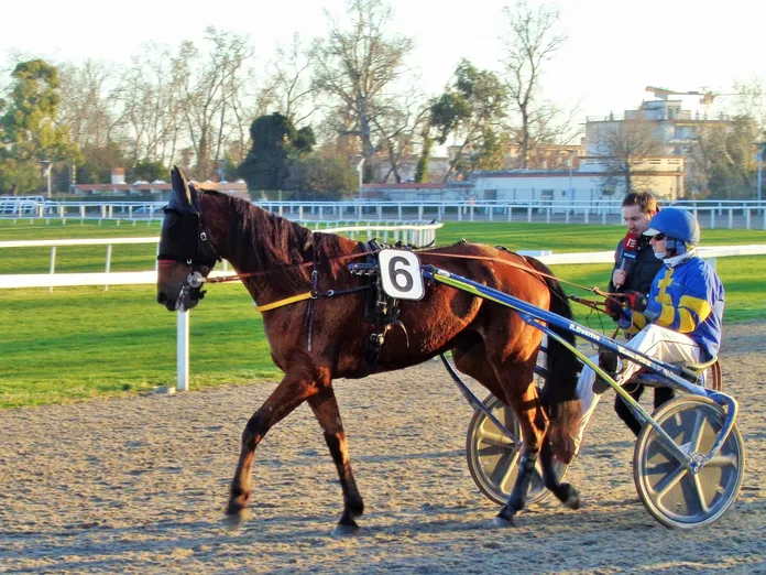 Cagnes sur mer galop et trot