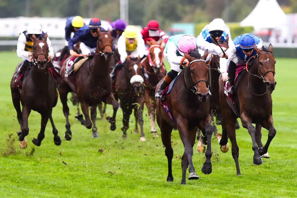 Arrivée du Pronostic Quinté du jour