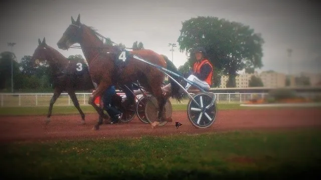 Les bébés trotteurs déterrent la… H de guerre !
