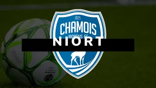 Niort : le Chamois a failli tomber de la montagne