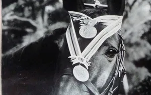Quand un cheval sauve l’honneur de la France !