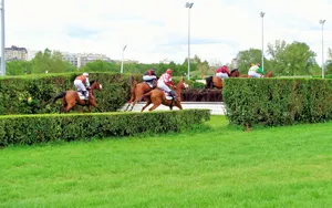 Orléans : une ville sportive et hippique !
