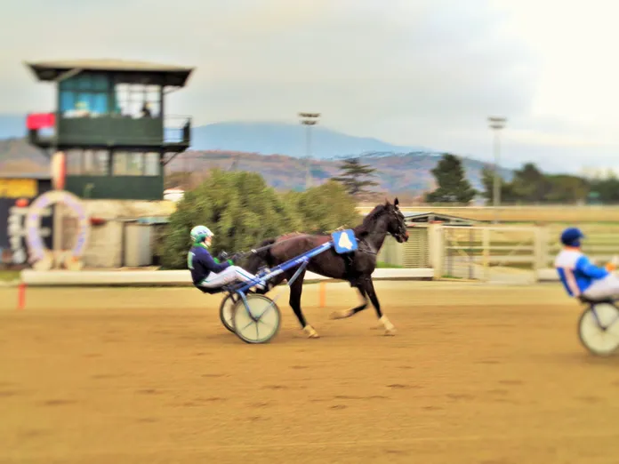 Hippodrome de Villanova D'Albenga