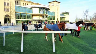 Mes chevaux de légende. (série 1: les galopeurs)