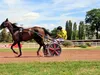 À la découverte de nouveaux talents du sport hippique (numéro 2)