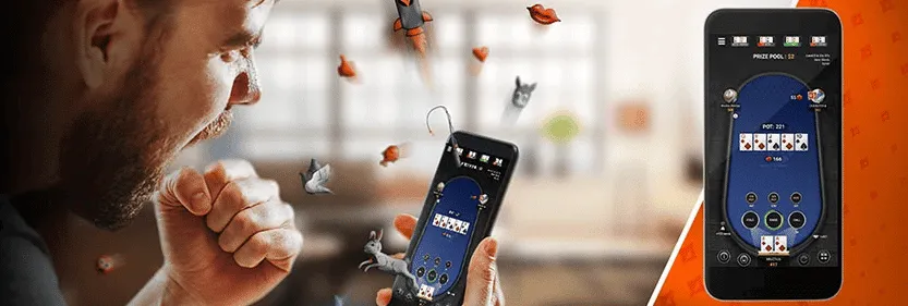 Application Partypoker