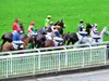 Une semaine “qu’hippique” : 05 mars au 11 mars 2020