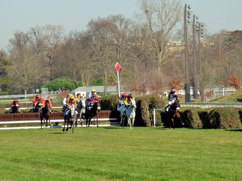 Auteuil:  Du muscle, de la sueur, du courage, du suspens