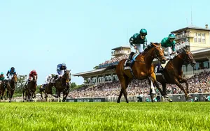 Tout comprendre de la hiérarchie dans les courses de chevaux