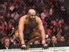 Classement UFC : les classements de chaque catégorie UFC