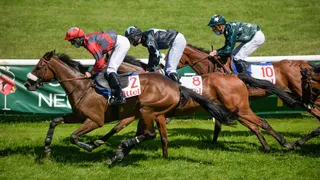 Turf : La vidéo d’une course coréenne fait le tour du monde