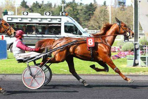 Boccador de Sim, devenu étalon . 