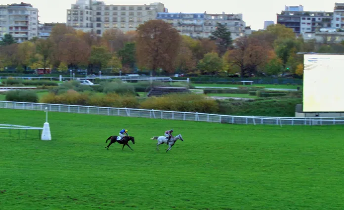 Les courses hippiques