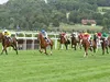 Pronostics Turf du 15/07/2022 : nos chevaux repérés pour Clairefontaine-Deauville (R5)