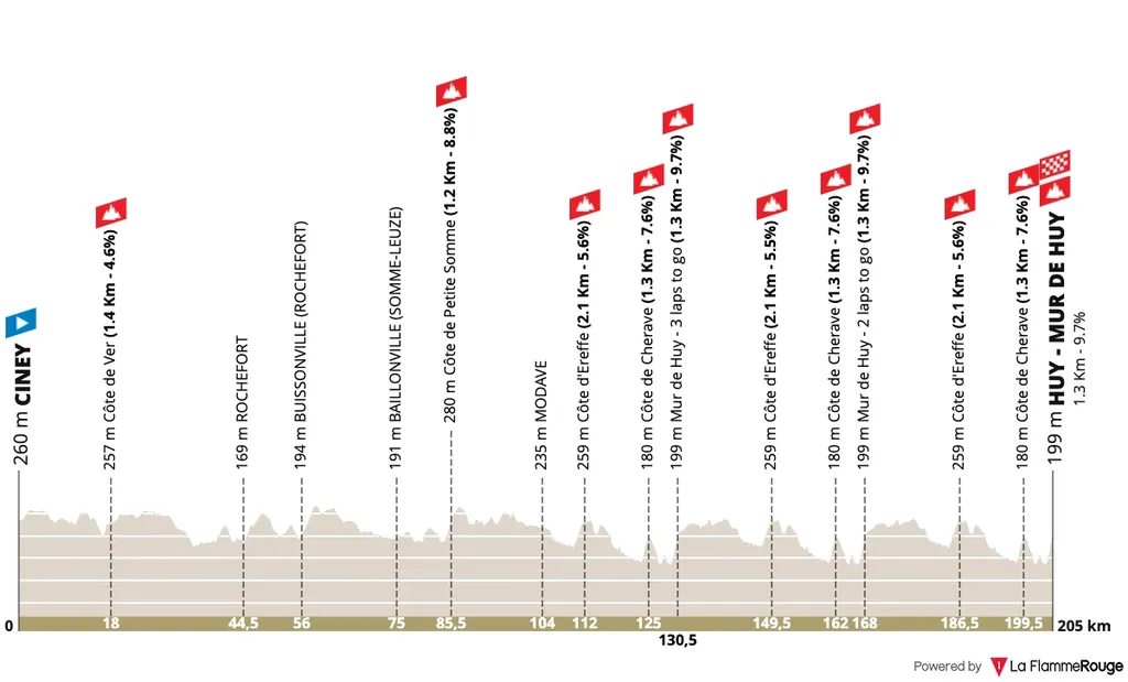 Profil-de-La-Fleche-Wallonne-2025