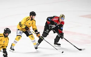 Rouen – Bordeaux : À quelle heure ? Sur quelle chaine TV regarder la finale de Ligue Magnus ?