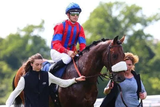 Cavaliers d'entrainement