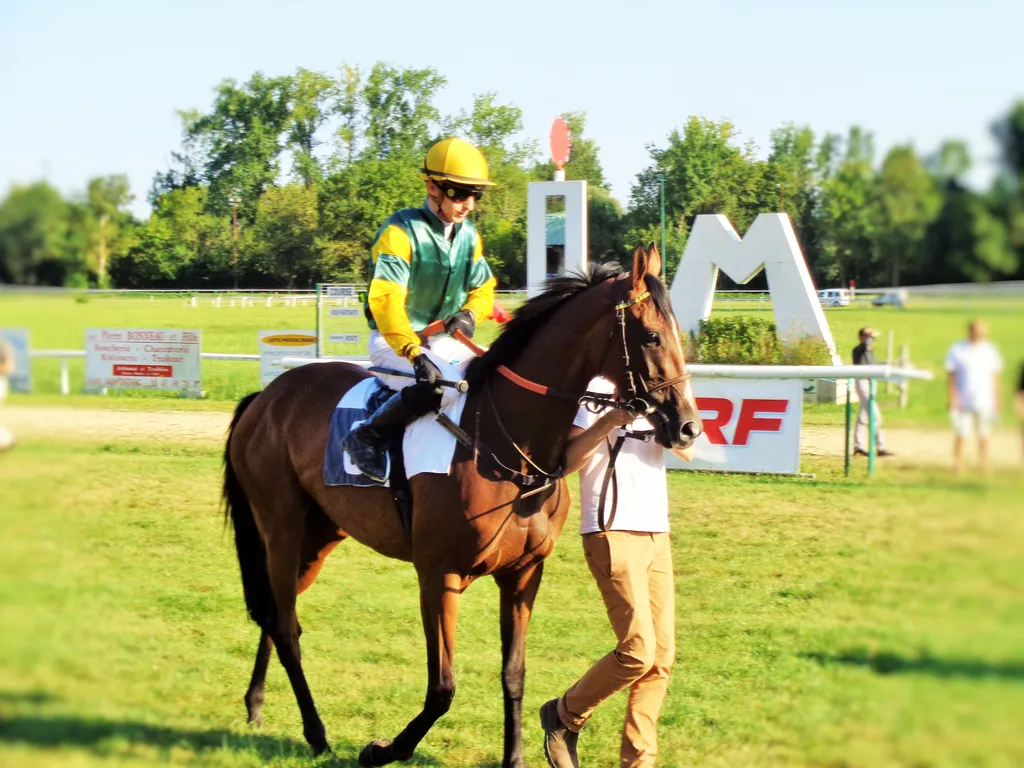 String Quartet et Fabien Lefebvre