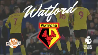 Watford FC : Des Hornets pas si frêles que ça