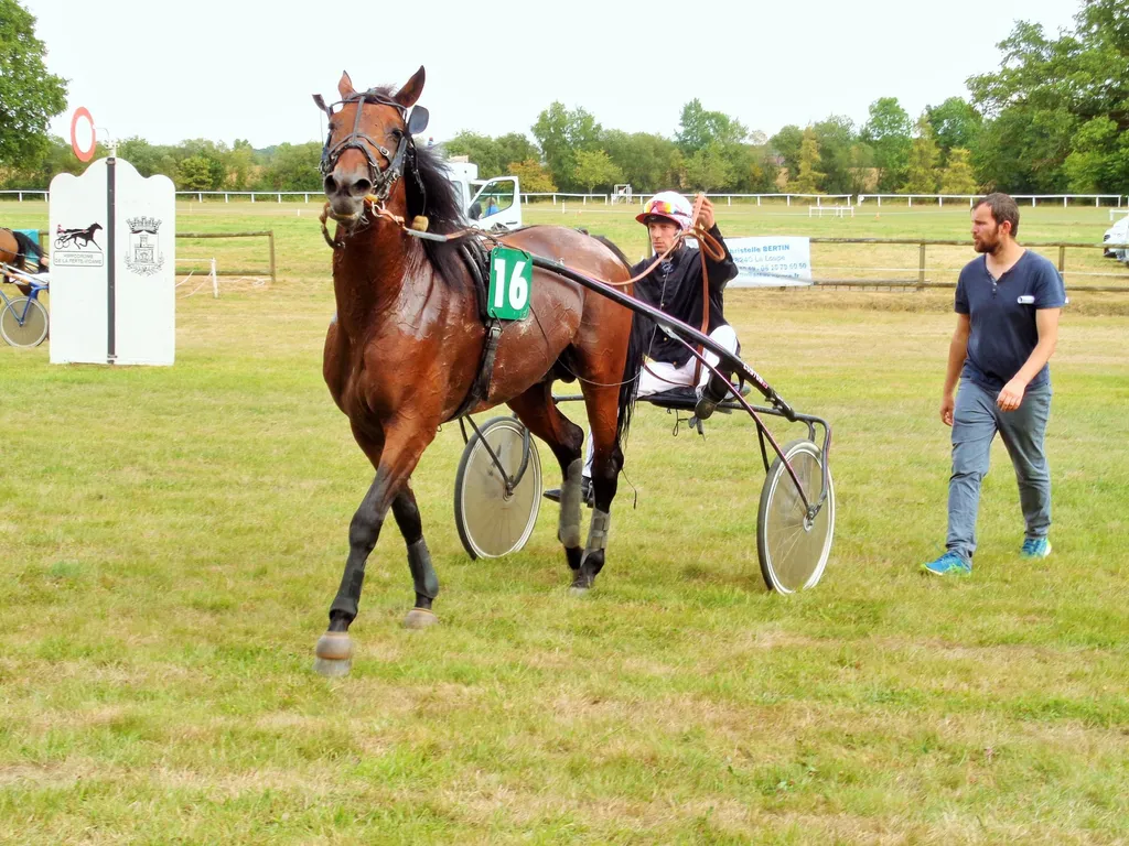 Le magnifique Bernard l'Ermite