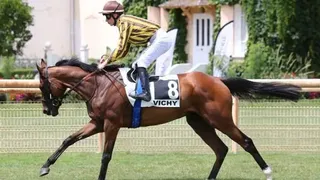 Pronostics Turf du 19/07/2022 : nos chevaux repérés pour Vichy (R1) et Saint-Malo (R2)