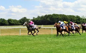 Senonnes-Pouancé : Son Eglise, son centre d’entrainement et son hippodrome