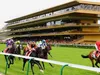 Pronostics Turf du 21/07/2022 : nos chevaux repérés pour ParisLongchamp, Clairefontaine-Deauville et Vichy